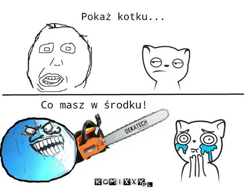 Pokaż kotku –  