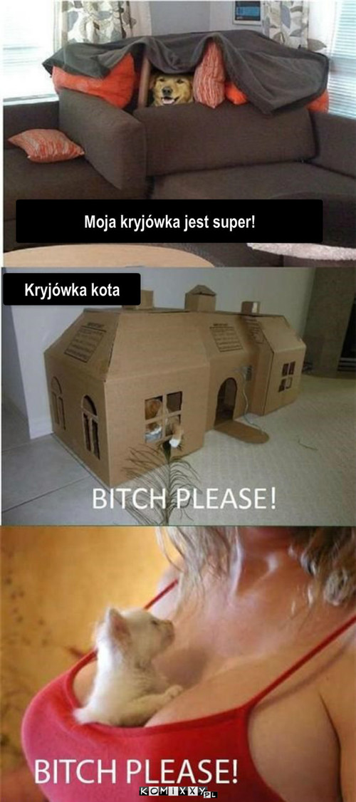 Kryjówka – Moja kryjówka jest super! Kryjówka kota 