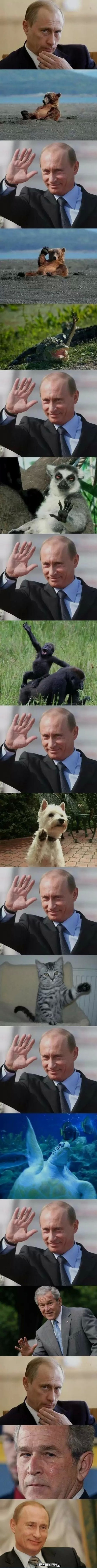 Przyjaciel Putin –  