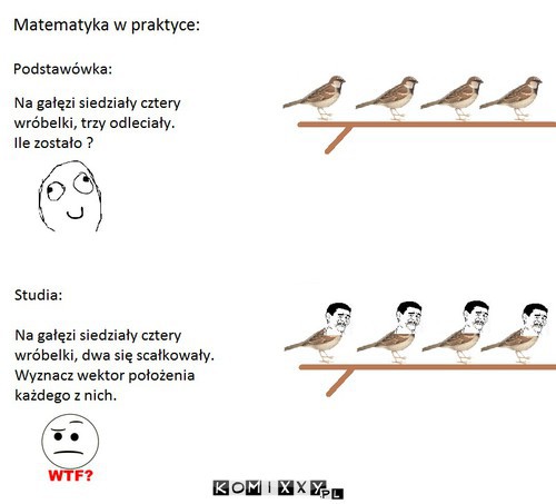 Matma w praktyce –  