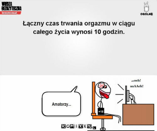 Amatorzy... – Amatorzy... 