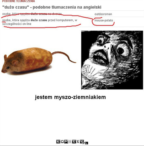 Myszo-ziemniak –  