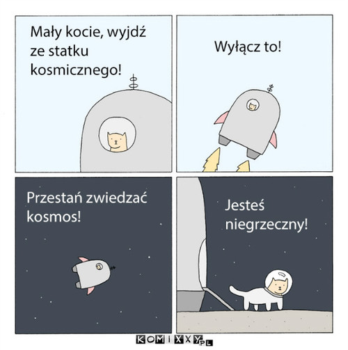 Kotek –  