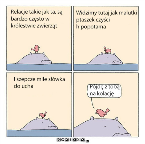 Relacje –  