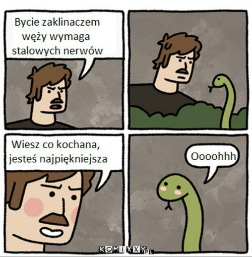 Zaklinacz węży –  