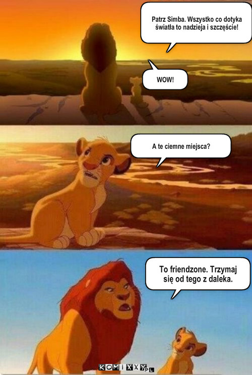 Simba – Patrz Simba. Wszystko co dotyka światła to nadzieja i szczęście! A te ciemne miejsca? To friendzone. Trzymaj
się od tego z daleka. WOW! 