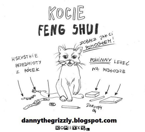 Kocie feng shui –  