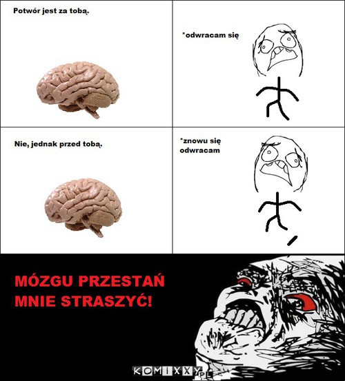 Mózgu! –  