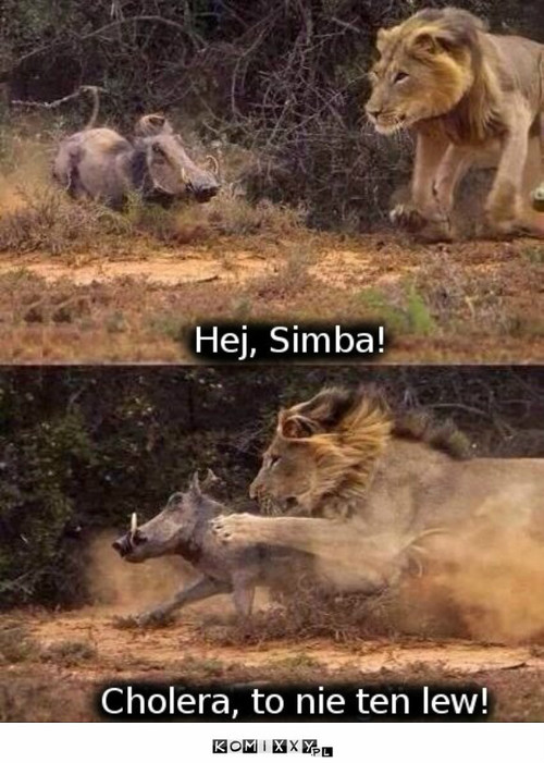 Simba –  