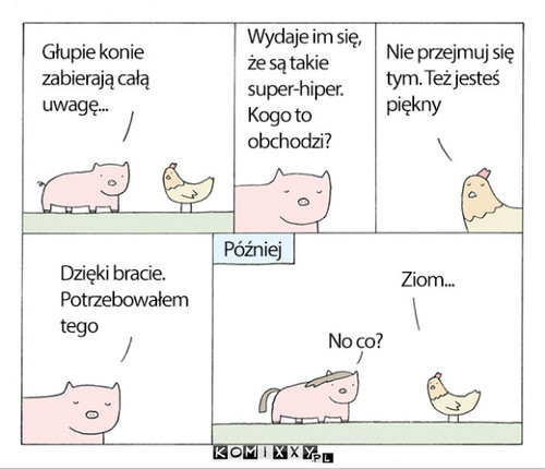 Problemy świnki –  