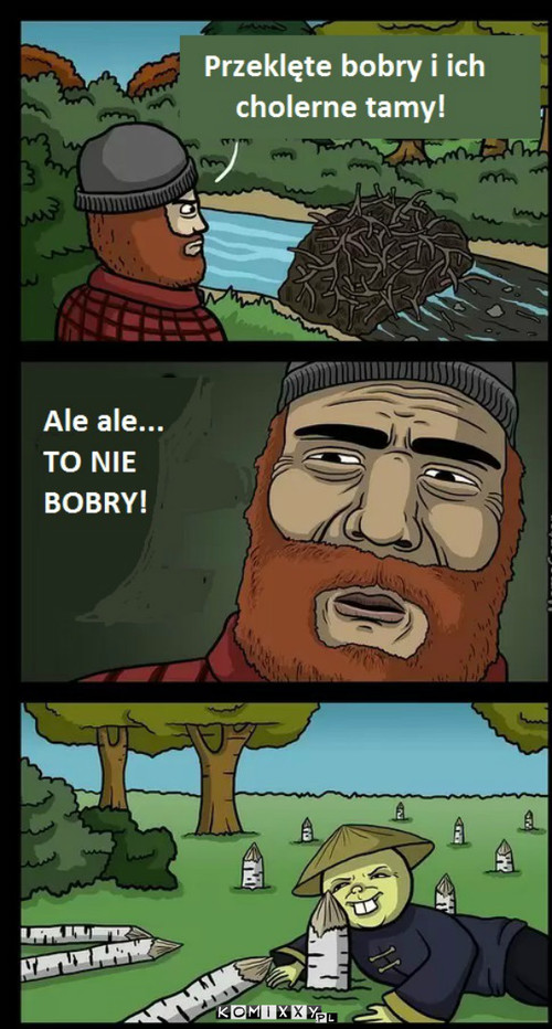 Bobry? –  