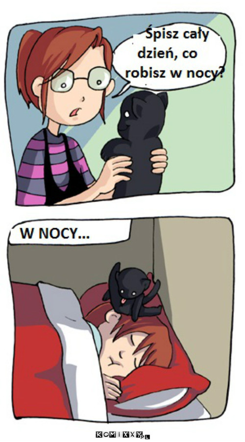 Koty nocą –  