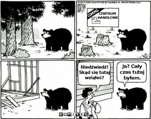 Niedźwiedź –  