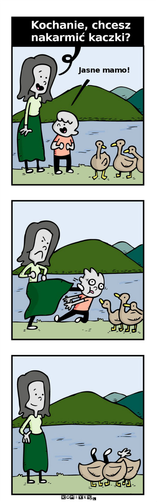 Karmienie kaczek –  