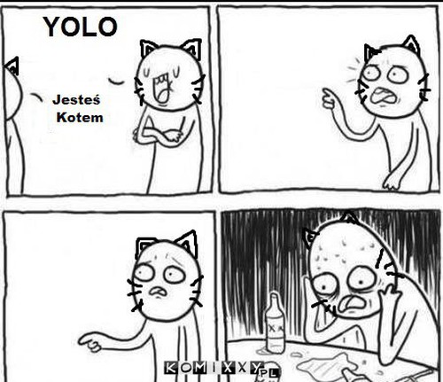 Kot i YOLO –  