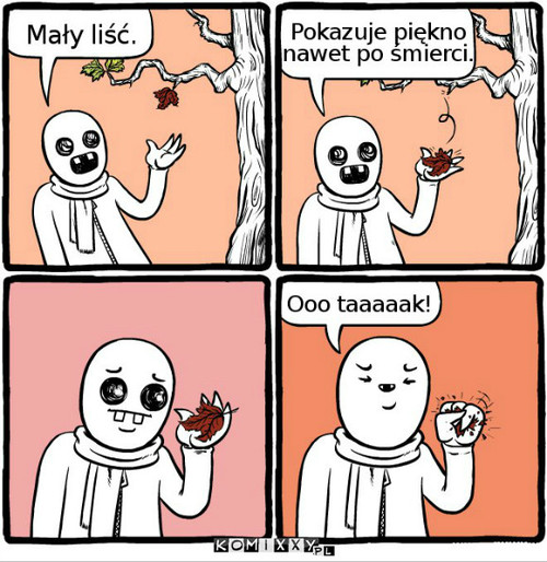 Liść –  