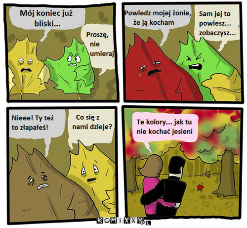 Kolory jesieni –  