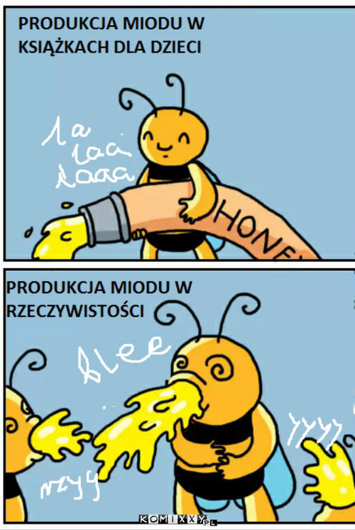 Miodzio –  