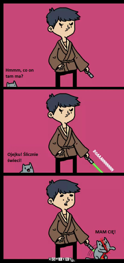 Dlatego Jedi nie mają kotów –  