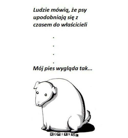 Mój pies –  