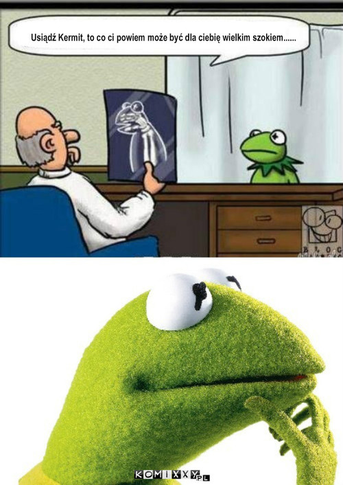 Kermit – Usiądź Kermit, to co ci powiem może być dla ciebię wielkim szokiem...... 