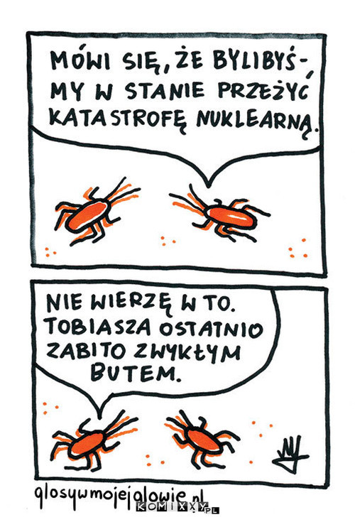 Karalusza Odporność –  