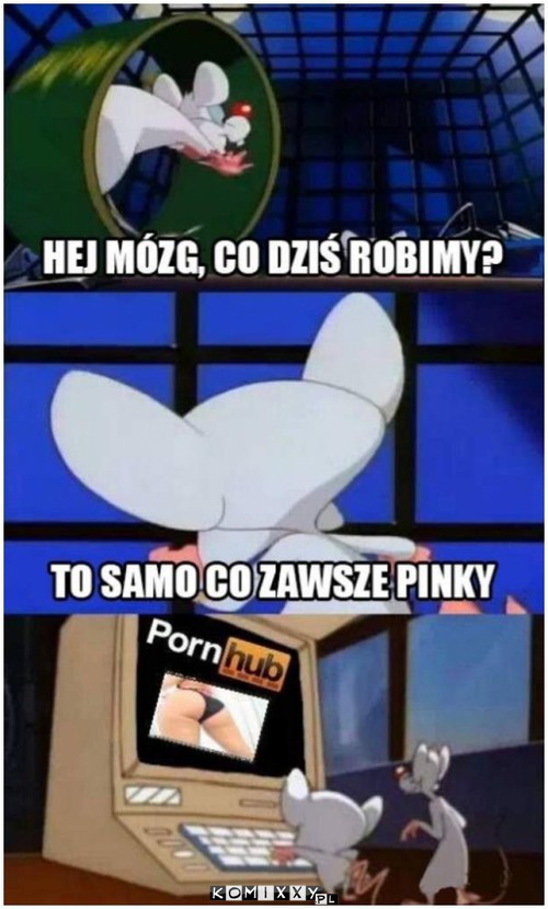 Codzienność –  