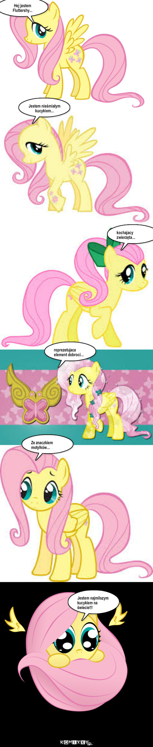 FlutterShy – Hej jestem Fluttershy... Jestem nieśmiałym kucykiem... kochajacy zwierzęta... reprezetujaca element dobroci... Ze znaczkiem motylków... Jestem najmilszym kucykiem na świecie!!! 