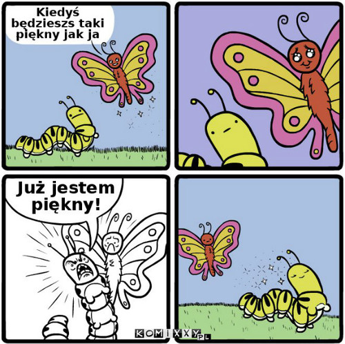 Larwy też są piękne –  