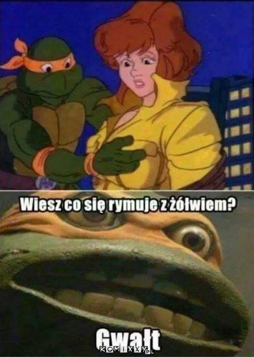 Żółw –  