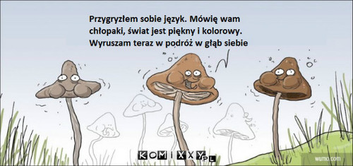 Grzybki –  