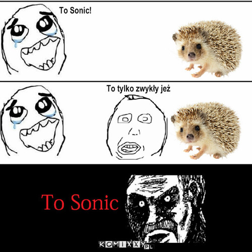 To sonic – To Sonic! To tylko zwykły jeż 