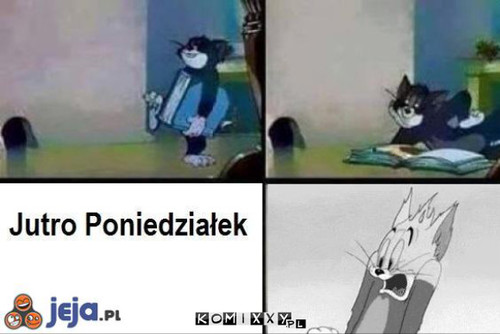  PONIEDZIAŁEK –  