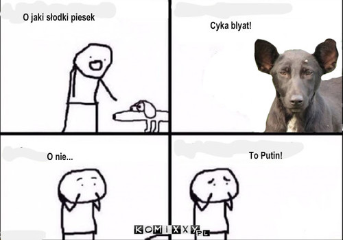 To Putin! – O jaki słodki piesek O nie... To Putin! Cyka blyat! 