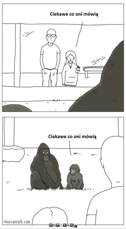 Ciekawość –  