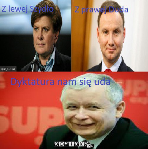 Pis –  