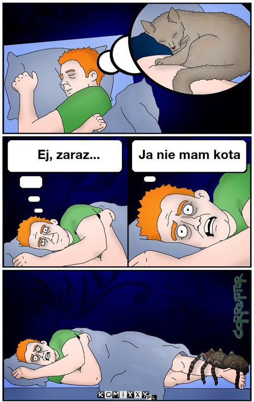 Warto mieć kota –  