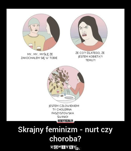 Feminizm –  