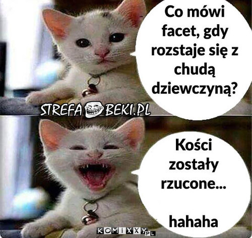 Rozwód –  