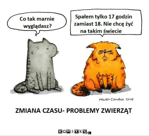 Zmiana czasu –  