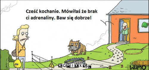 Dobry mąż –  