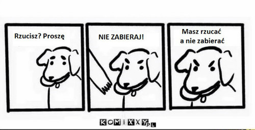 Logika psa –  