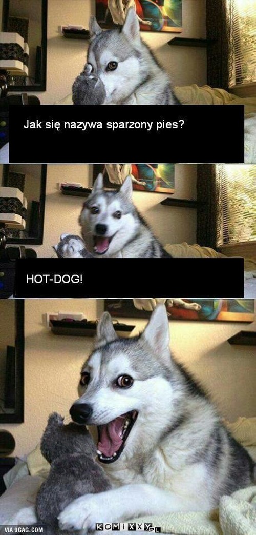 HOTDOG –  