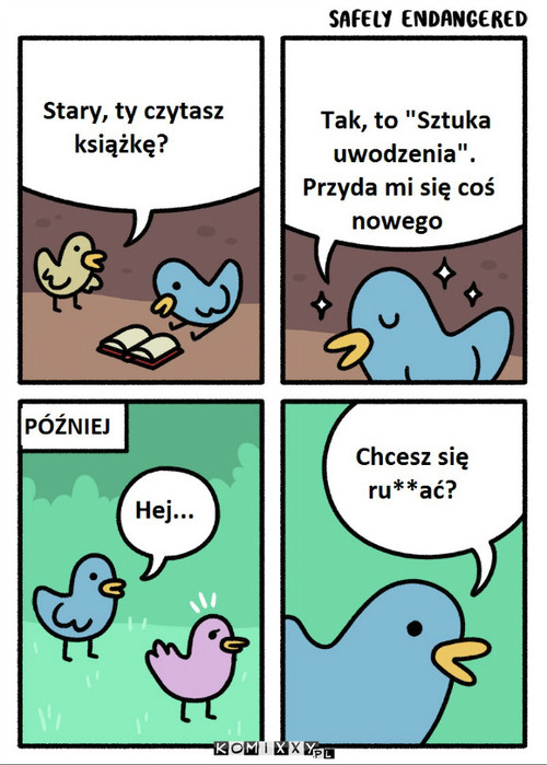 Najnowsza książka –  