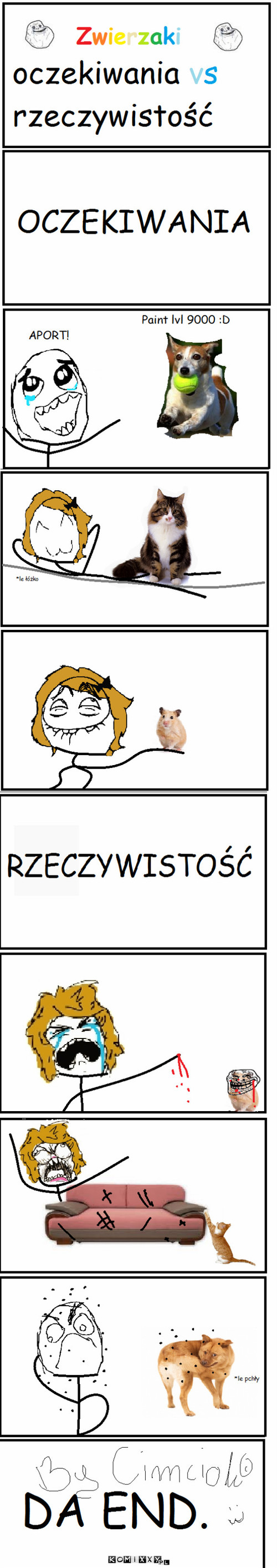 Zwierzaki Oczekiwania vs rzeczywistość –  