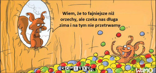 Zapasy na zimę –  