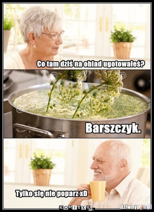 Barszczyk –  