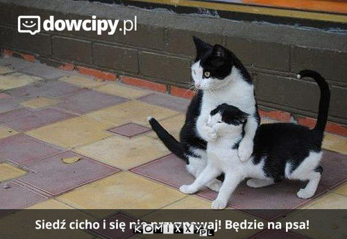 Będzie na psa –  