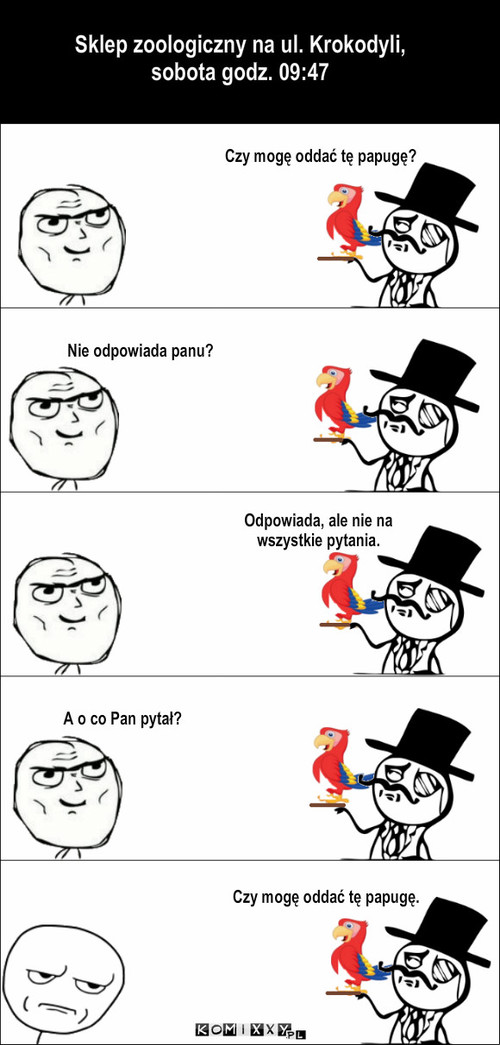 Niezrozumiały człowiek #4 – Sklep zoologiczny na ul. Krokodyli, sobota godz. 09:47 Nie odpowiada panu? Odpowiada, ale nie na wszystkie pytania. A o co Pan pytał? Czy mogę oddać tę papugę? Czy mogę oddać tę papugę. 
