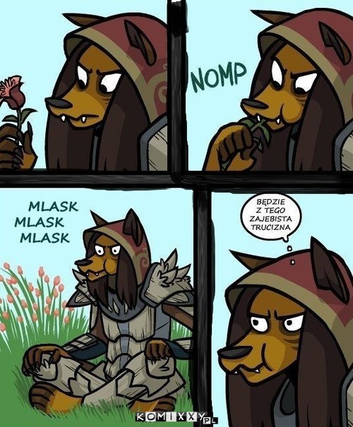 Logika SKyrim –  